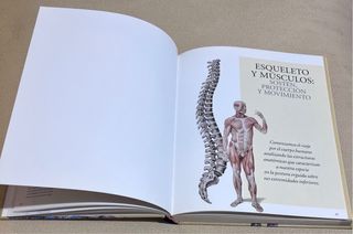 Atlas ilustrado de anatomía (Spanish Edition)