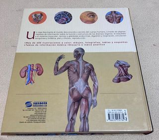 Atlas ilustrado de anatomía (Spanish Edition)