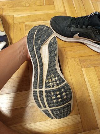Zapatillas Nike Pegasus 40 - 40.5