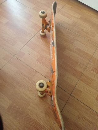 Skate usado