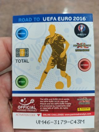 Carta Aiden Mcgeady Euro2016