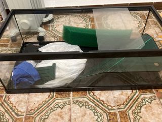 Acuario y terrario para anfibios y reptiles