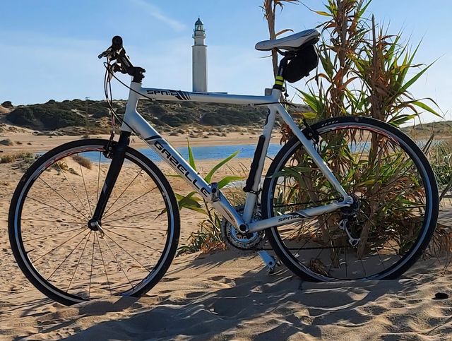 Bicicleta Gazelle SPN-2 blanca