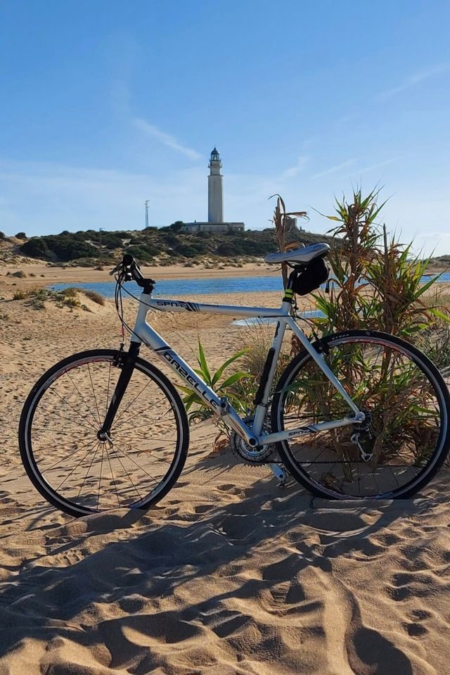 Bicicleta Gazelle SPN-2 blanca