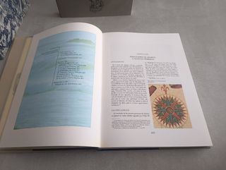 DESCUBRIMIENTOS ESPAÑOLES EN EL MAR DEL SUR.