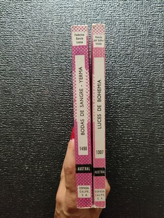 Luces de Bohemia Bodas de sangre