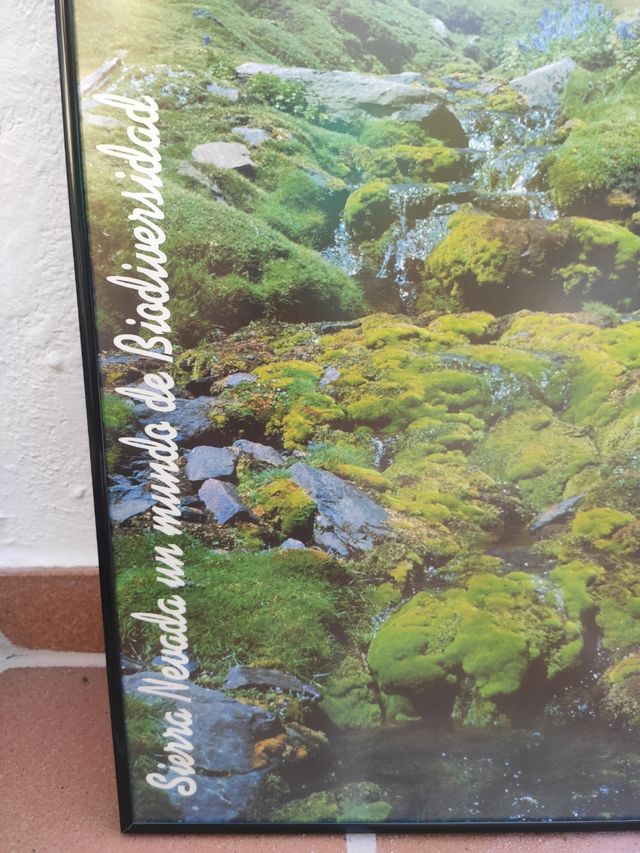 Marco de aluminio en color negro