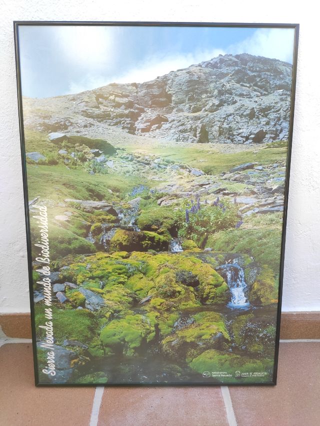 Marco de aluminio en color negro