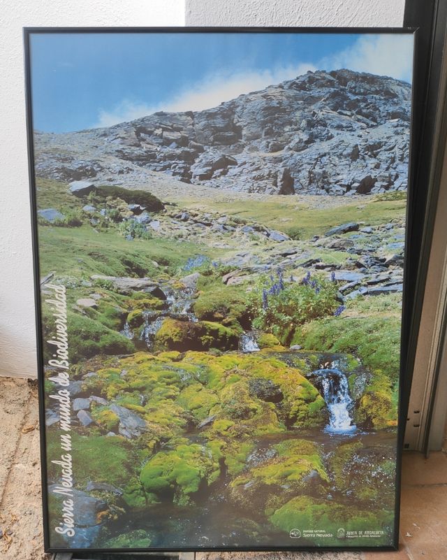 Marco de aluminio en color negro