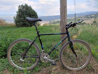 Yokota de colección