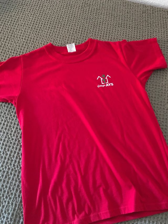 Camiseta Colegio AYS T.12