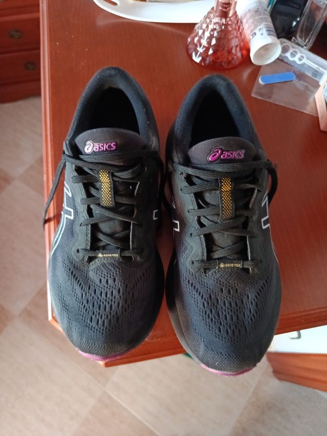 Zapatillas Asics Gore-Tex running