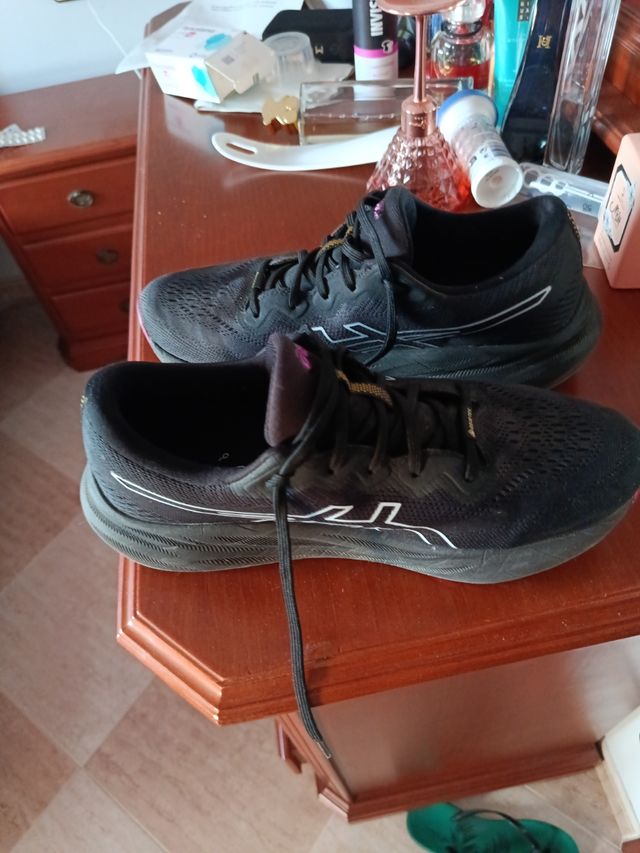 Zapatillas Asics Gore-Tex running