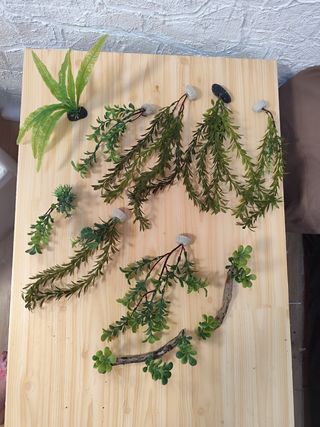 Plantas acuario artificial