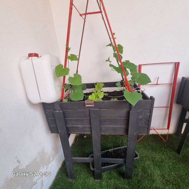 Huerto vertical - Cultivo urbano.