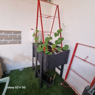 Huerto vertical - Cultivo urbano.