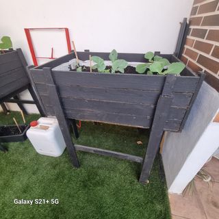 Huerto vertical - Cultivo urbano.