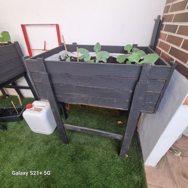 Huerto vertical - Cultivo urbano.