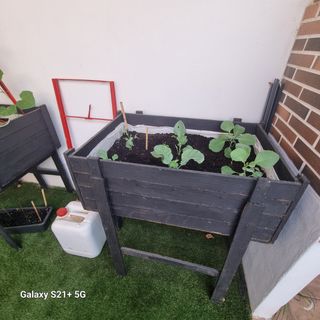 Huerto vertical - Cultivo urbano.