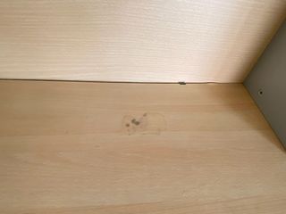 Litera juvenil con escritorio