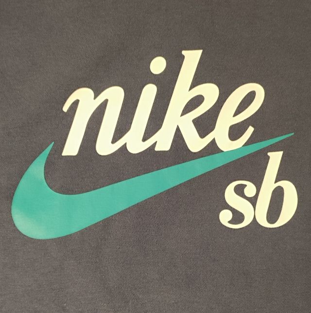 Sudadera Nike SB azul