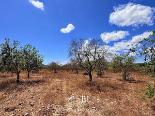 Solar en venta en Son Servera