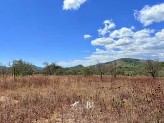 Solar en venta en Son Servera