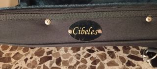 Telecaster de Luthier,hecha a mano, no de serie