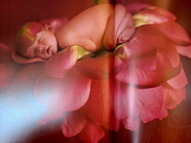 Libro Miracle: Celebracion de una nueva vida