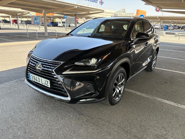 Lexus NX 2020