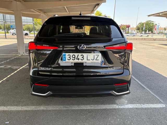 Lexus NX 2020
