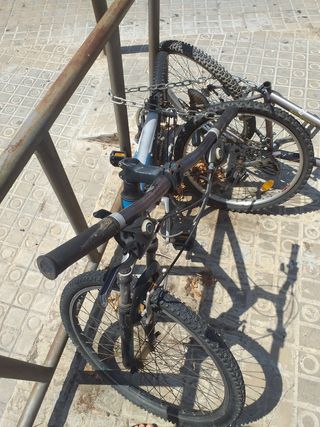 Bicicleta Orbea montaña usada