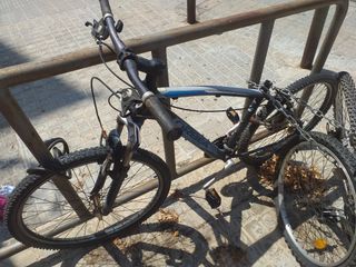 Bicicleta Orbea montaña usada