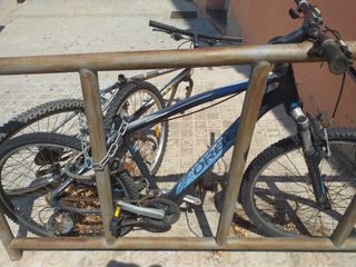 Bicicleta Orbea montaña usada