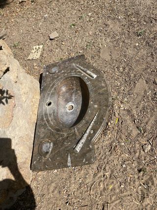 Lavabo de mármol con fósiles