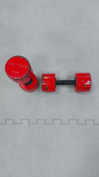 Mancuernas Salter 10kg