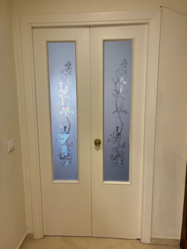 Puerta doble cristal pájaros