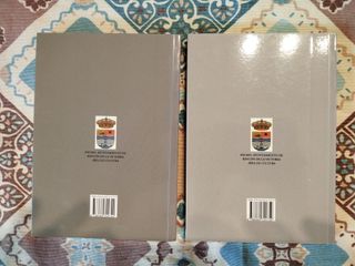 Lote de 2 libros Novela Rincon de la Victoria