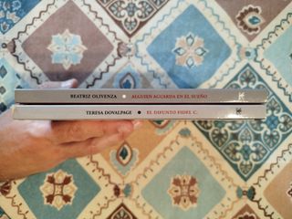 Lote de 2 libros Novela Rincon de la Victoria