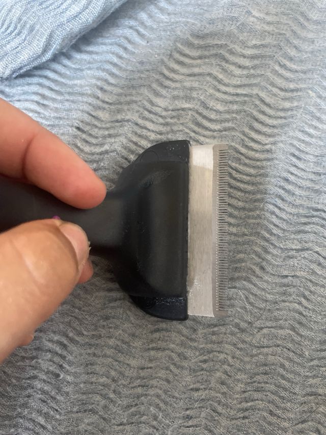 Cepillo para perros Ibañez