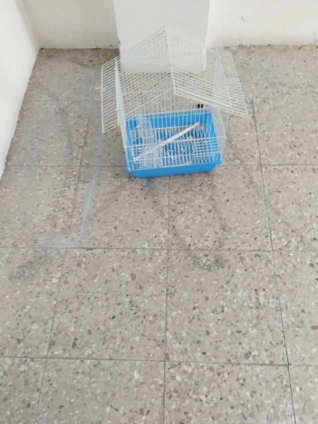 Jaula pájaros - blanca y azul. ago