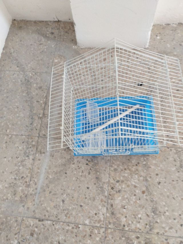 Jaula pájaros - blanca y azul. ago