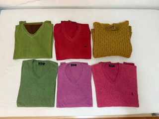16 Jerséis y Polos - Colores Variados