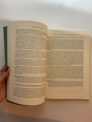 Derecho administrativo económico 10.ª ed.