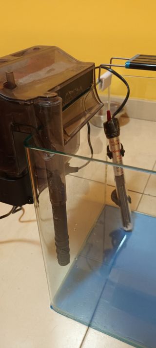 Acuario curvo completo -pecera-