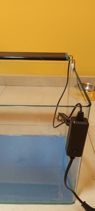Acuario curvo completo -pecera-