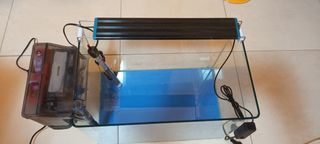 Acuario curvo completo -pecera-
