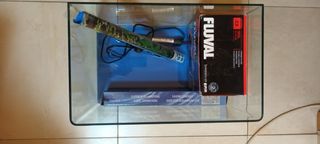 Acuario curvo completo -pecera-