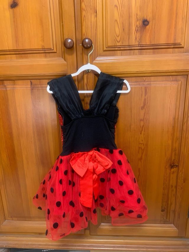 Abito coccinella per bambine 5 anni