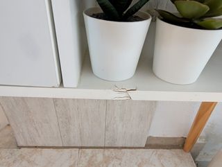 Recibidor blanco de madera